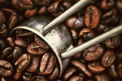 beans-coffee-fresh-2065